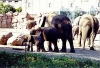ID:102